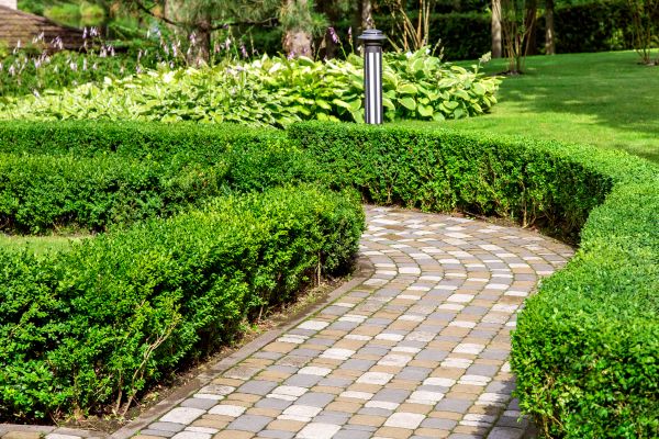 Cost of Paved Landscaping in Bradenton