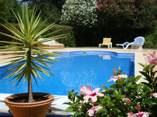 Cost of Pool Terrace Renovation in Bradenton